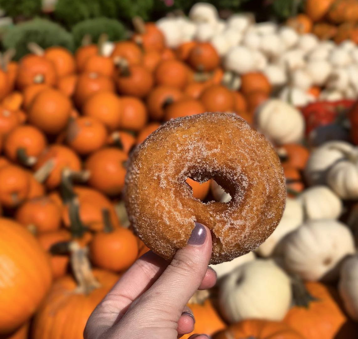 5 Things I Loved In September