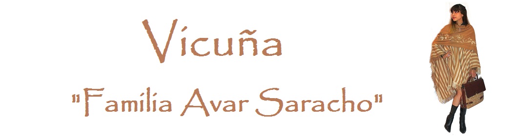 Vicuña "Familia Avar Saracho"
