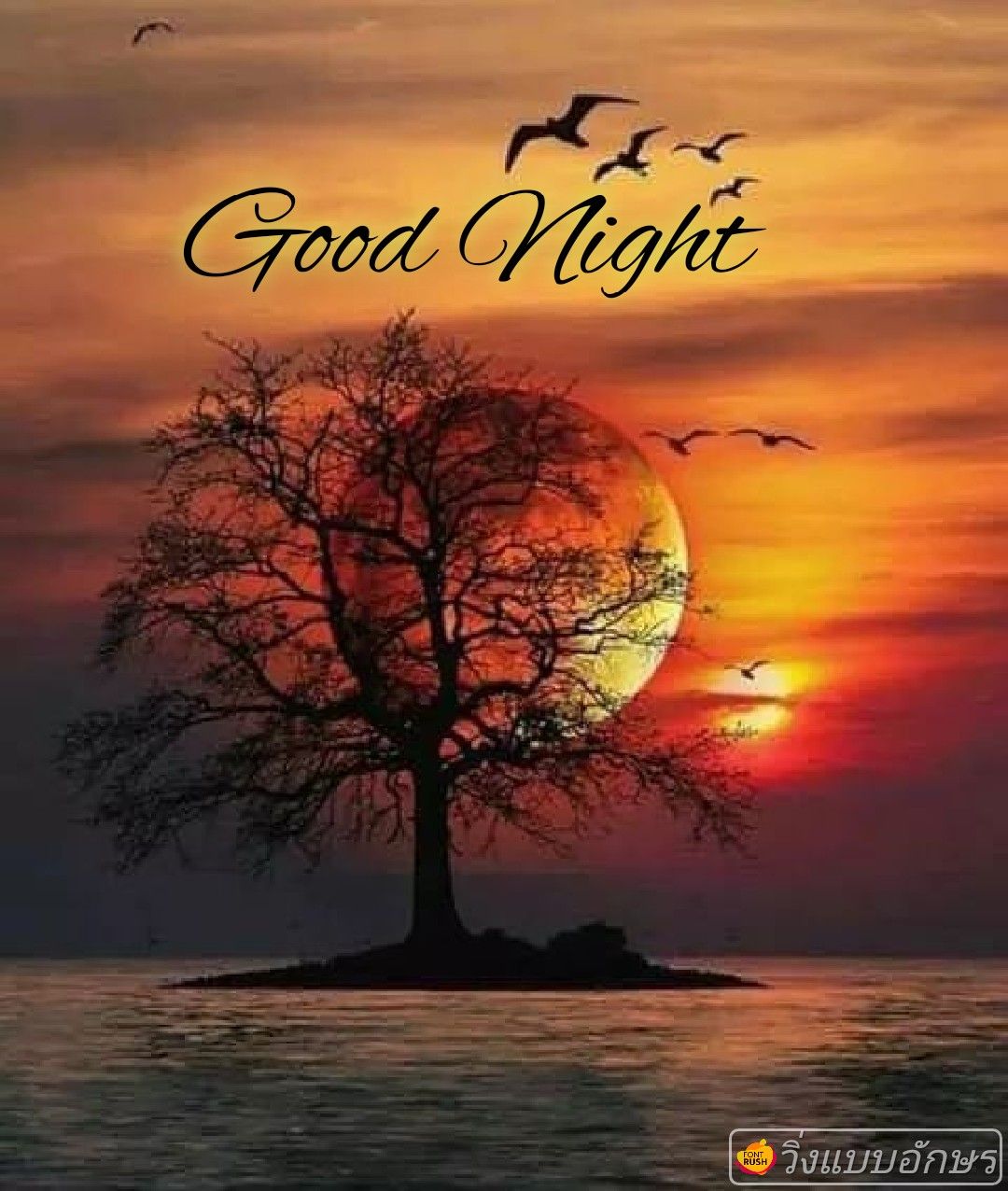 good night cute images