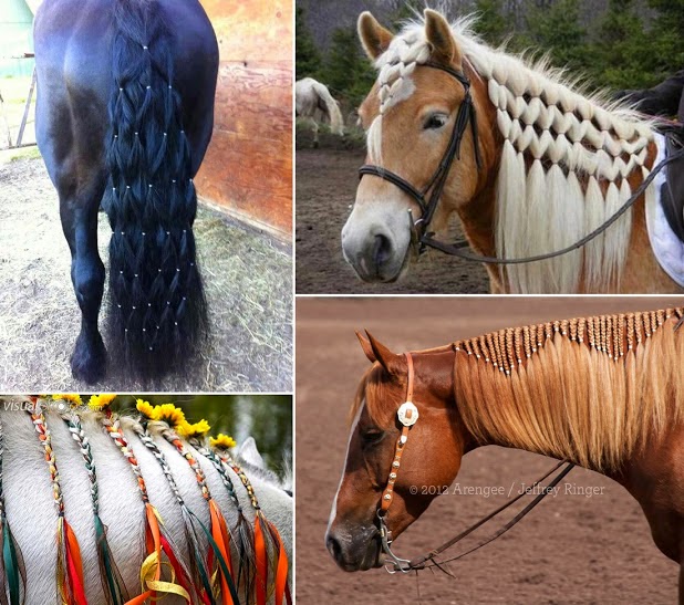 Amazing Creativity Horse Hair Styles