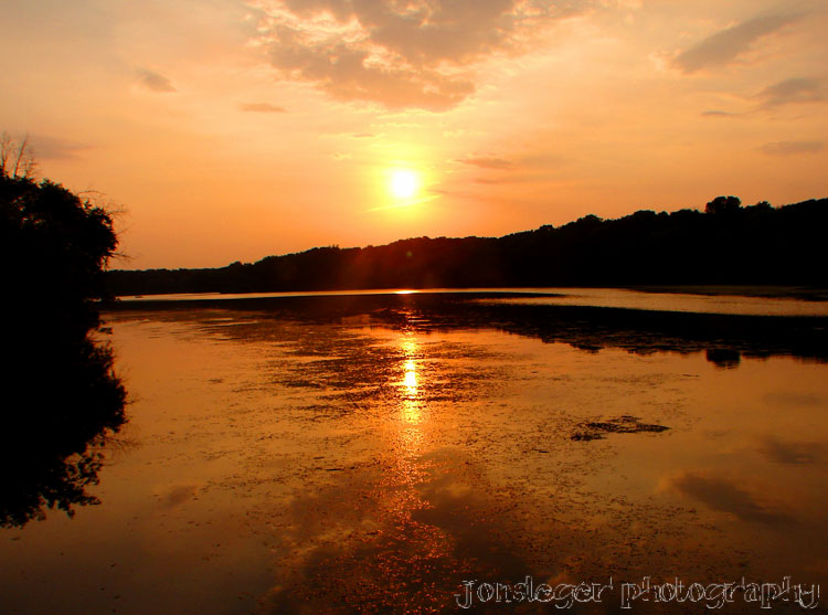 Northern Illinois Birder: Eastern Bluebirds - Texas Birds