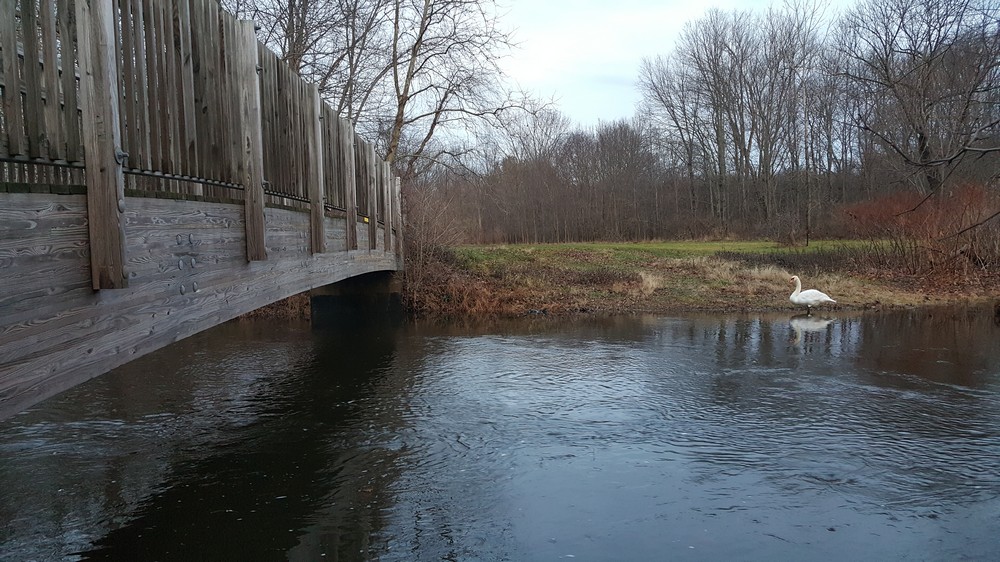 Harriman Hiker Harriman State Park and Beyond Lake Henry Sunset Hike
