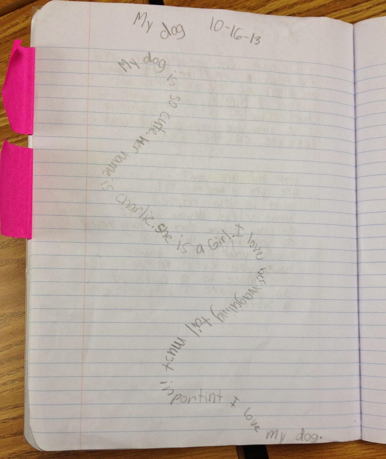 Writing in 2nd grade Cycle 3 Writer's Notebook