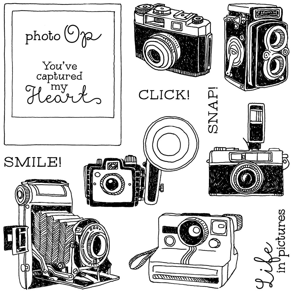 Crafting with a view april stamp of the month life in pictures 