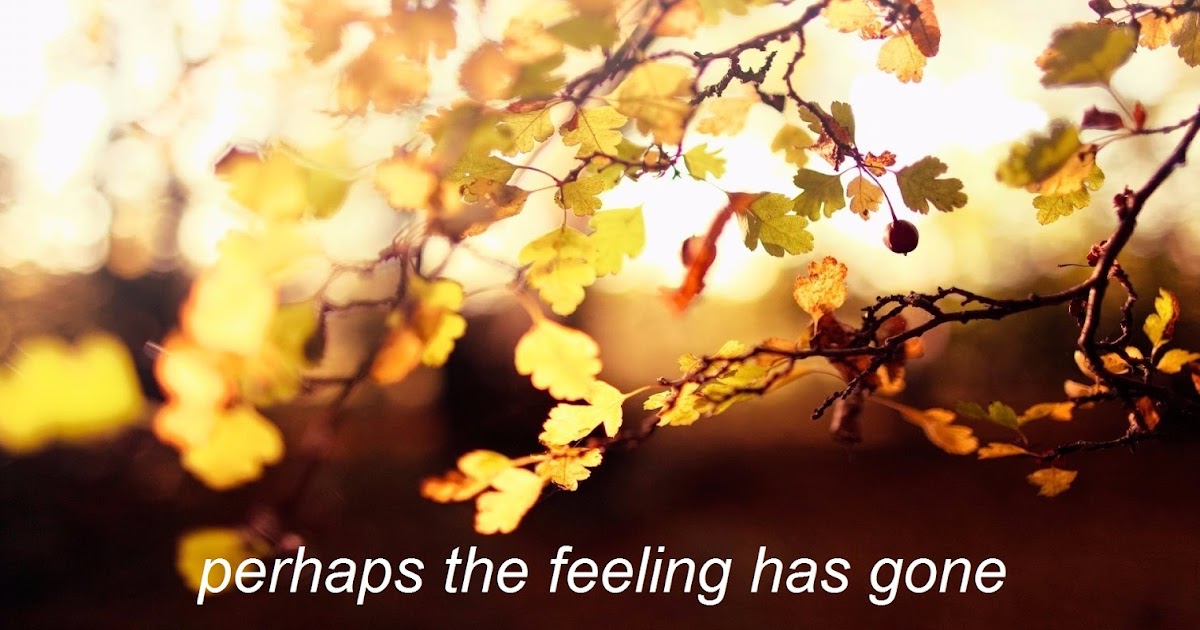 Pieces Of Me 7 Ultimate Sad Songs Indonesian Male Vocalist Edition