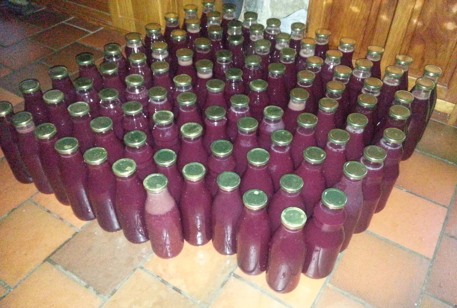 JARDIVIGNE Recette de notre jus de raisin maison