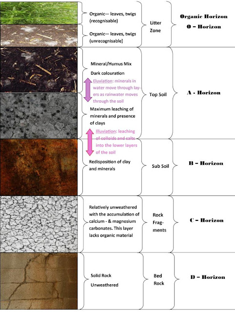 Roots n Shoots Soil Profiles Maintenance roots-n-shoots-soil-profiles-maintenance