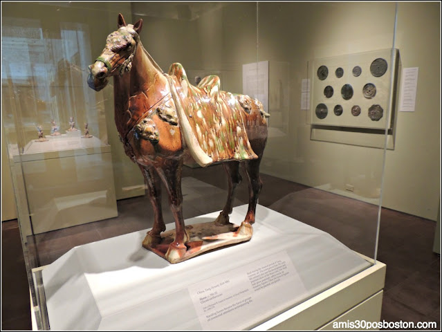 "Horse" de China