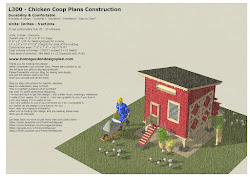 chicken coop plans building ramp door exterior build construction
