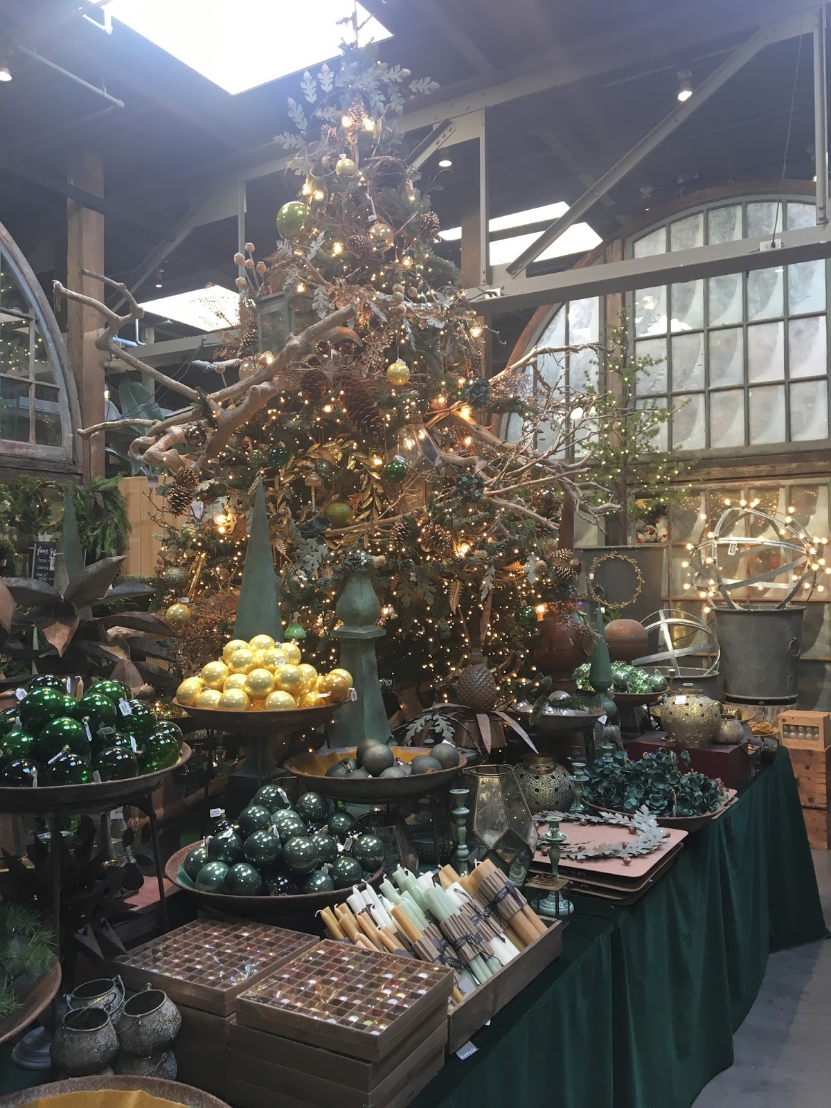 Health & Lifestyle Management Terrain in Westport, CT Nov 18th