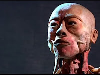 Sugestões para o fim de semana: Exposição real bodies Sugestões para o fim de semana: Exposição real bodies