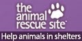 Help animals in shelters