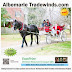 December edition of the Albemarle Tradewinds has been published!