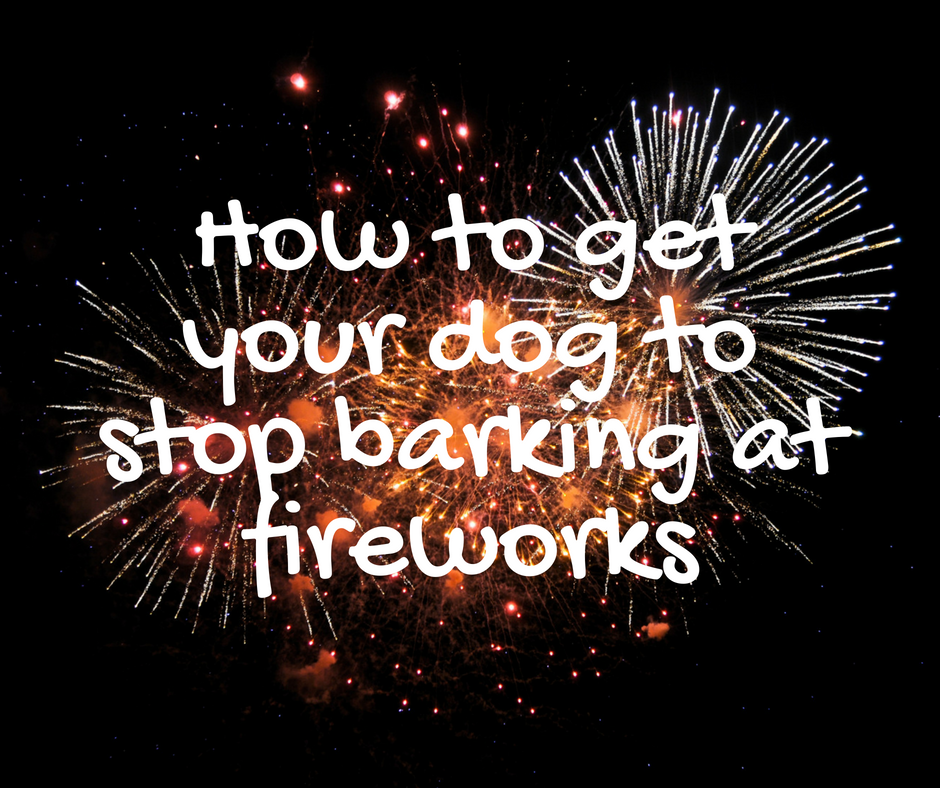 How to get your dog to stop barking at Fireworks Pink Rain Cloud