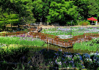 枚方山田池公園 Hirakata-Yamadaike Park