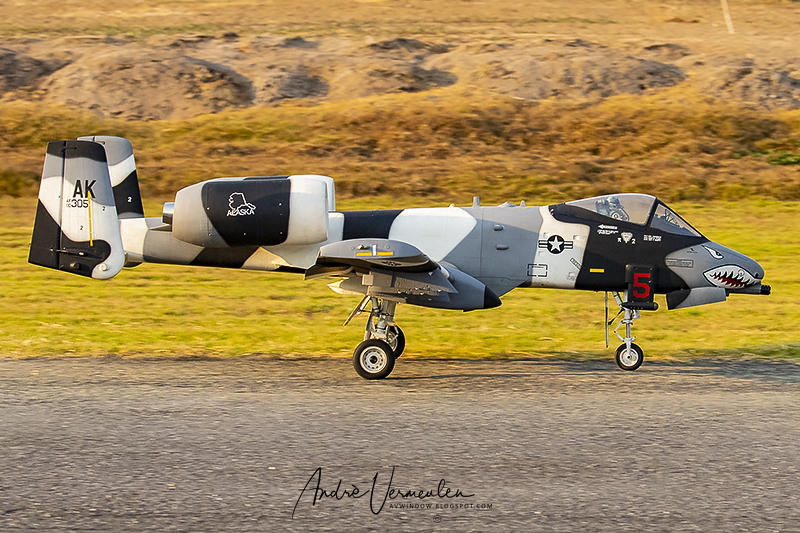 AVWindow: A10-Warthog Radio controlled Model Aircraft