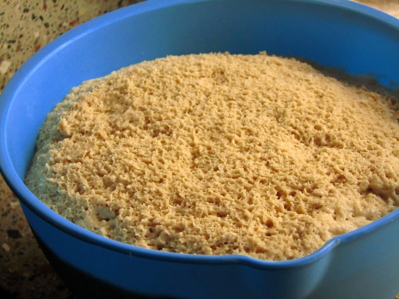 20110618-Food-Whole+Wheat+Crusty+Bread19.JPG