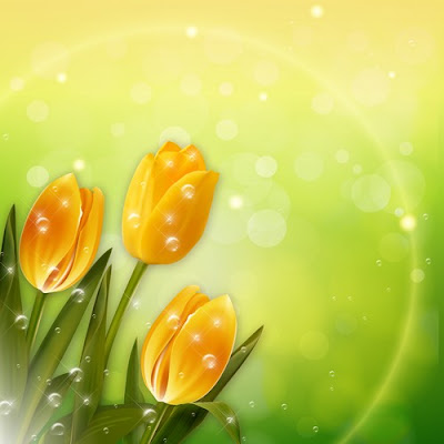 1457781588_multi-layer-psd-source-for-design-in-photoshop-yellow-tulips.jpg