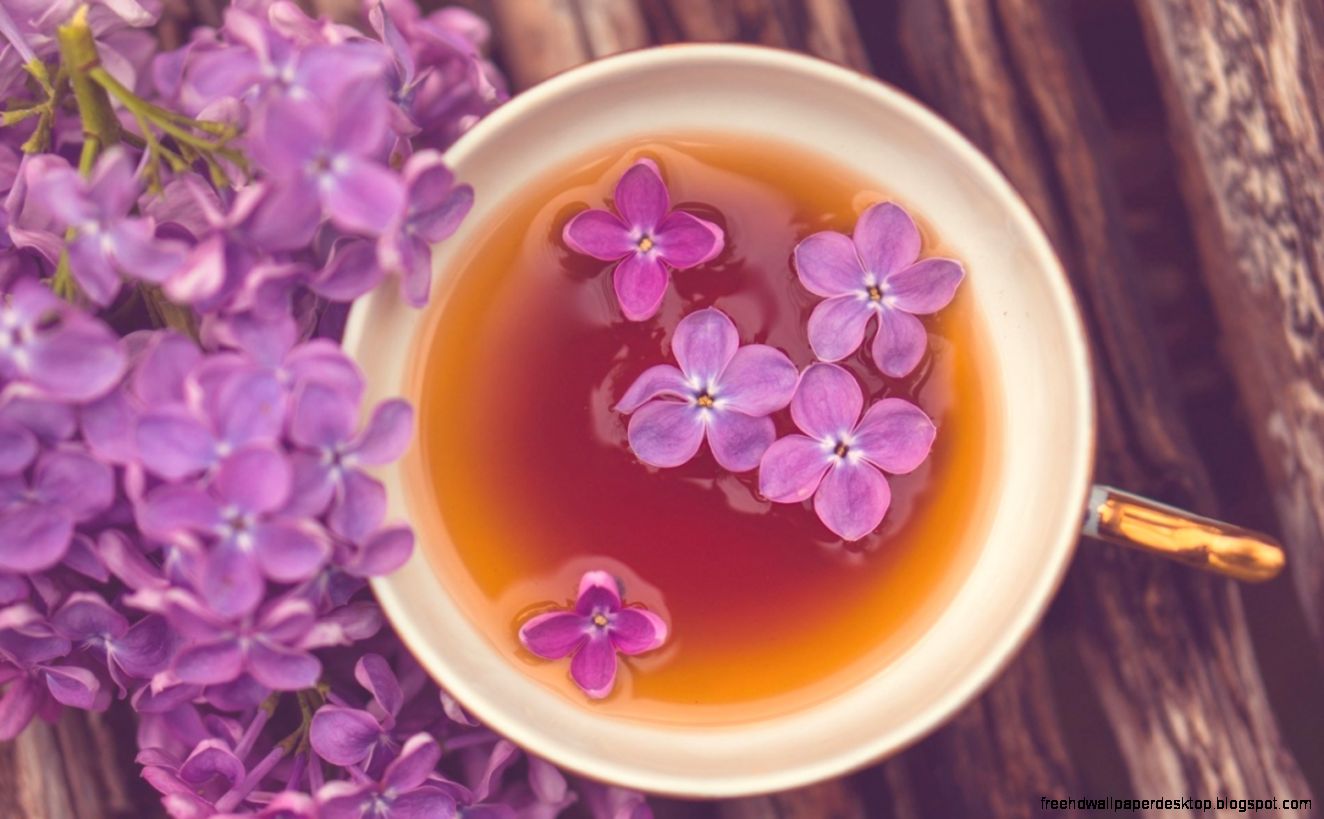 Mood Mug Cup Tea Flowers Purple Lilac Hd Wallpaper  Wallpaper List