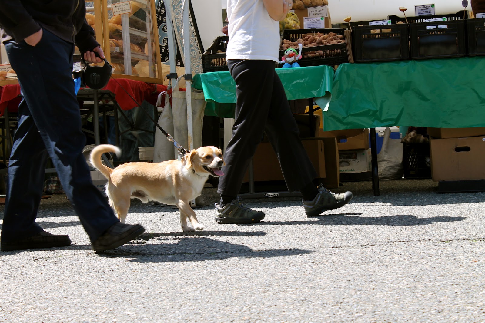 Crown Hill Farmer's Market Dogs