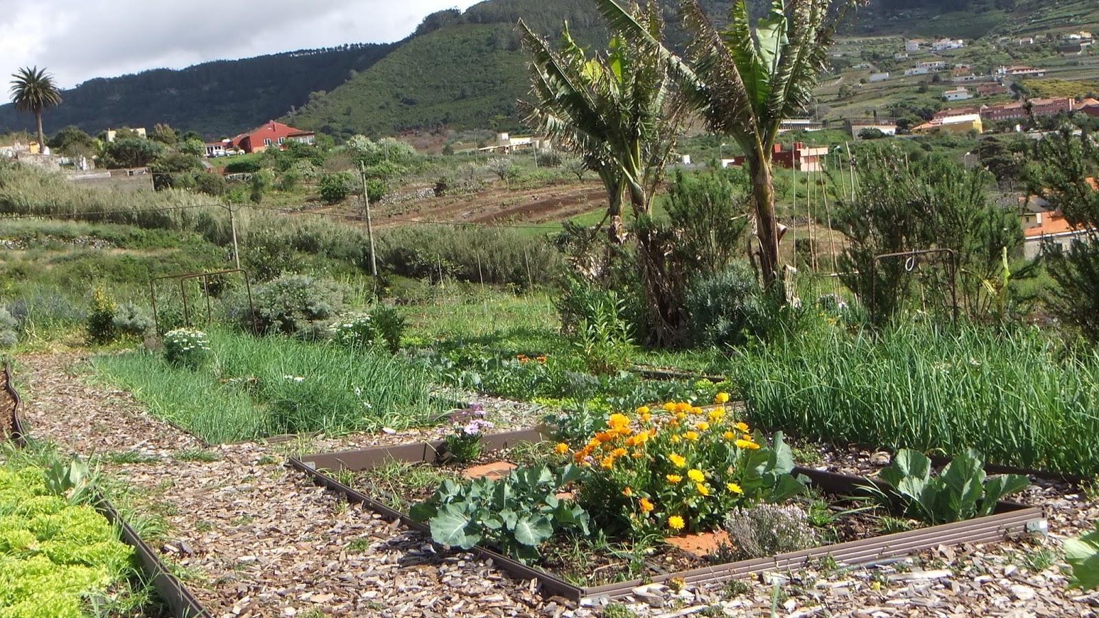 Finca Ecol gica El Pil n 5 De Julio De 2015