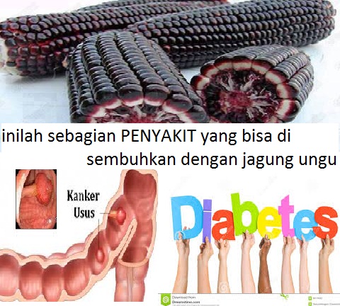 TOLONG BANTU SEBARKAN SUNGGUH AJAIB,!! TERNYATA PENYAKIT DIABETES