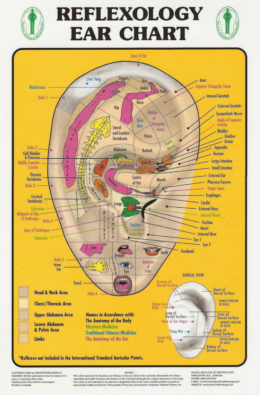 HEALING WAYS: REFLEXOLOGY EAR CHART