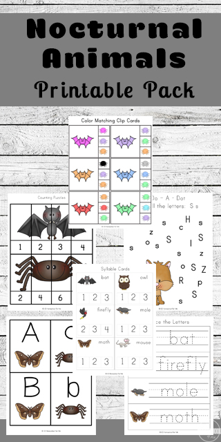 FREE Nocturnal Animals for Kids Worksheets