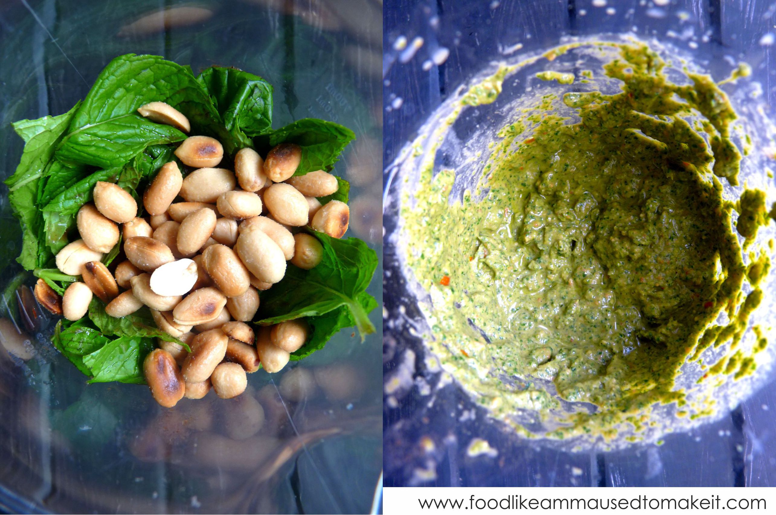 pudina chutney