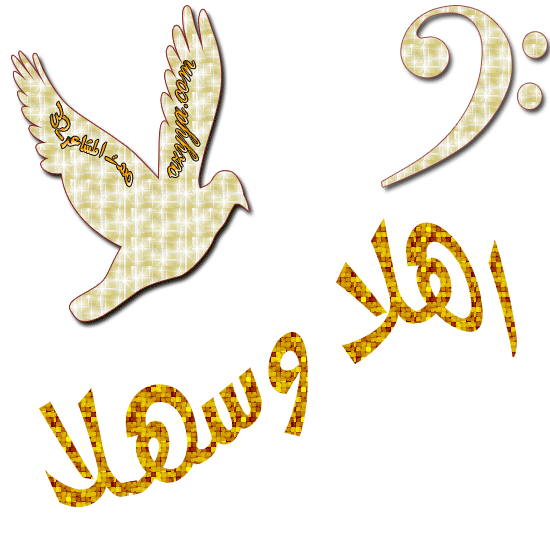 مدونة العلوم في مدرسة كبارة للتعليم الأساسي اهلا وسهلا