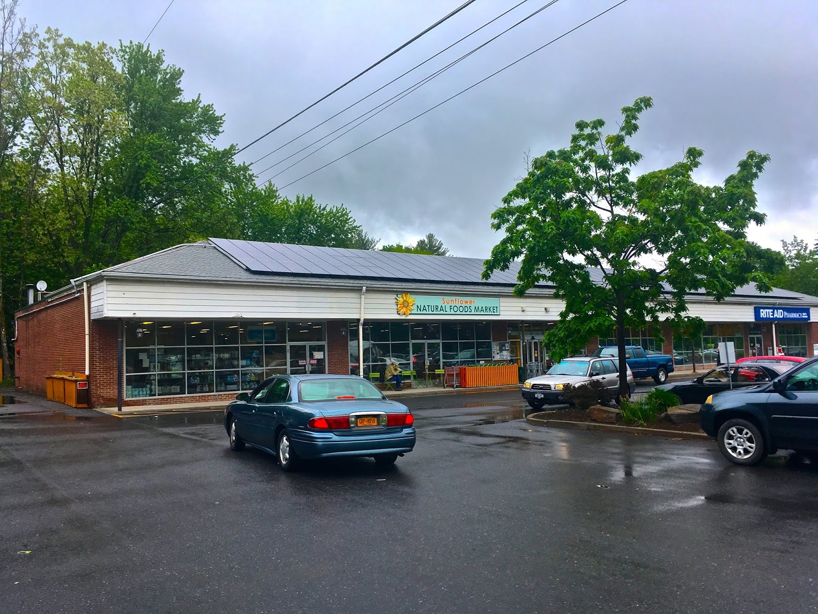 Snapshot Sunflower Natural Foods Market Woodstock, NY