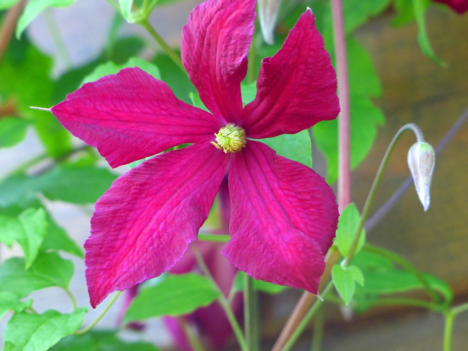 Christoph's Fotostudio: Juli 2013