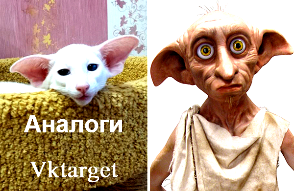 Vktarget аналоги Vktarget аналоги