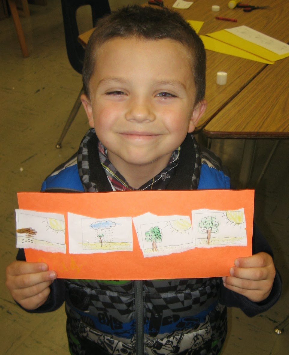 Stadium Library Goings-On: AM K Apple Tree Sequencing