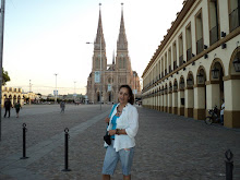 Catedral de Lujan 2011 Argentina