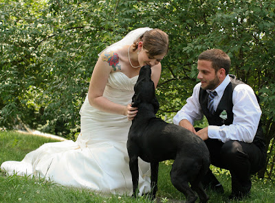 perro besando a la novia