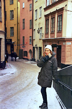 Estocolmo, a 20º bajo cero