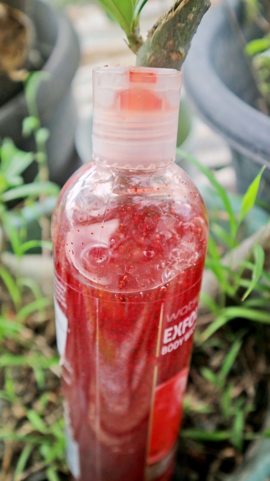 Watson Exfoliating Body Wash Irrya Lucita Personal Blog