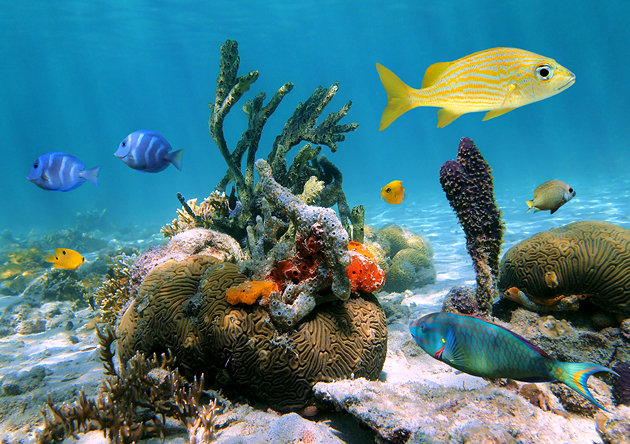 Tourist Attractions in Guadeloupe Tourist Attractions in Guadeloupe