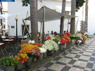 CITY / Ilha da Madeira, Funchal, Portugal