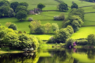 Gambar Efek Zoom Hover