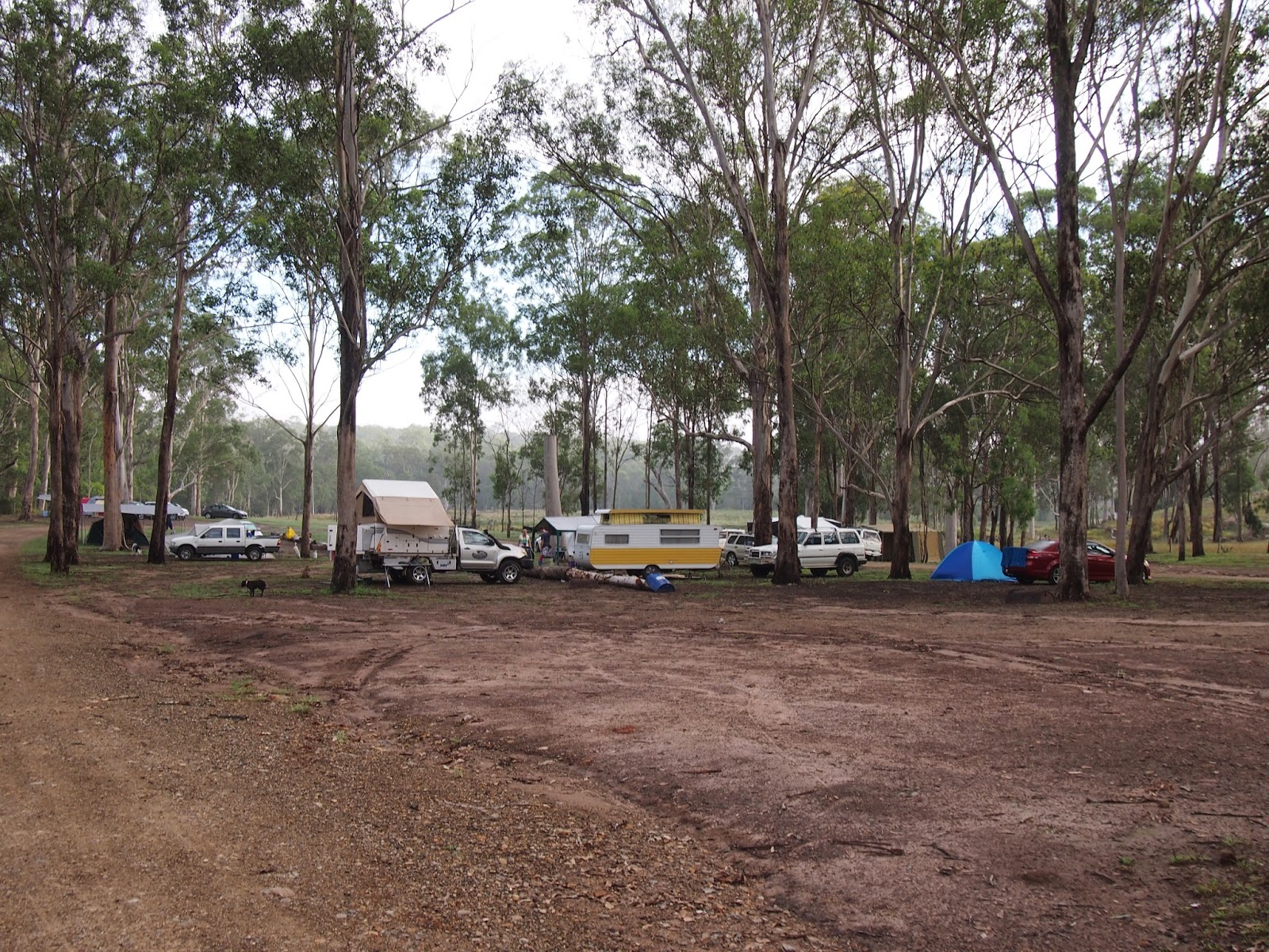 Stork's 4wd & Camping Adventures Flanagan Reserve March 2014