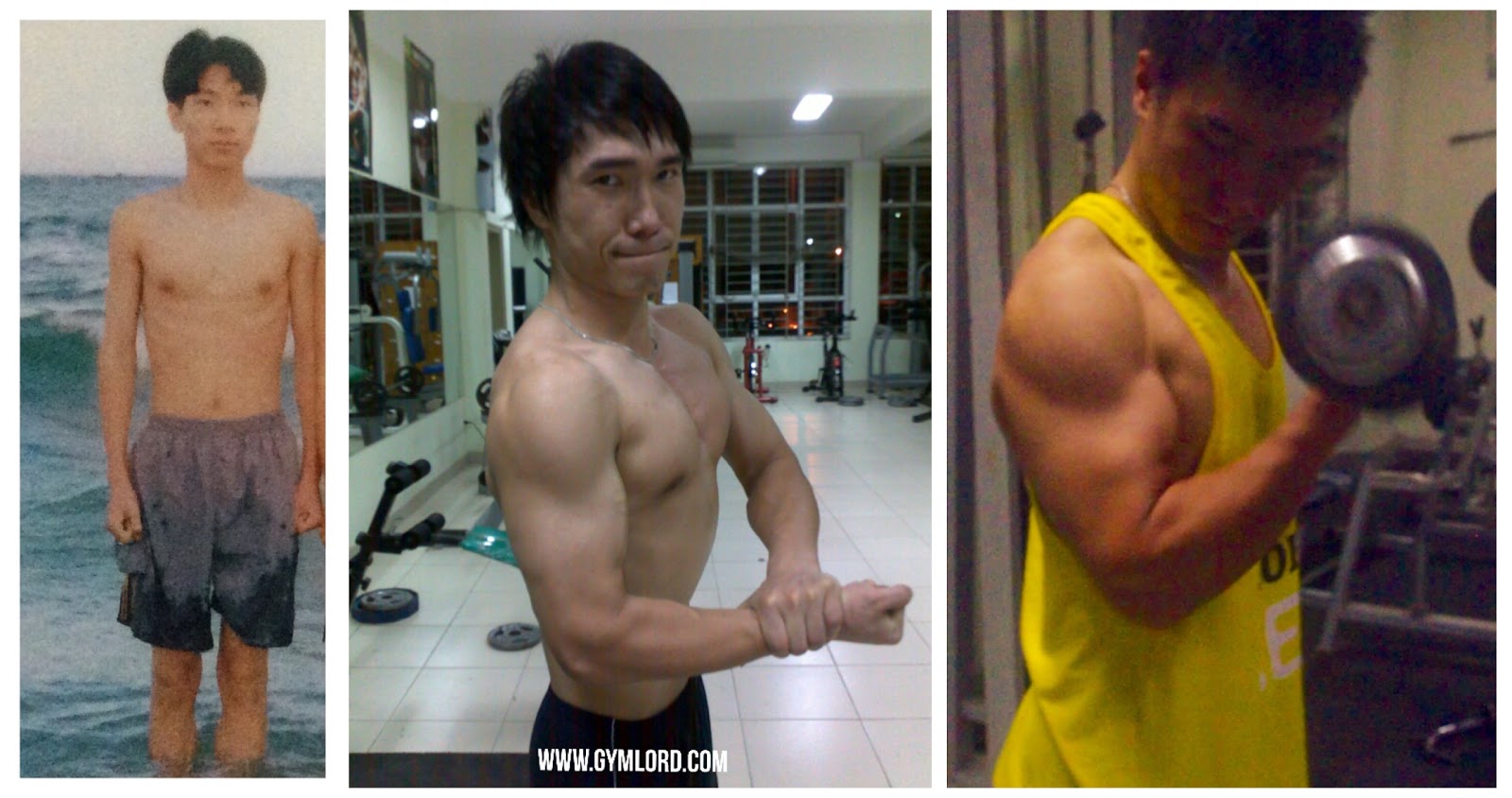 Lịch tập gym chi tiết trong 4 tuần cho người mới hiệu quả nhất