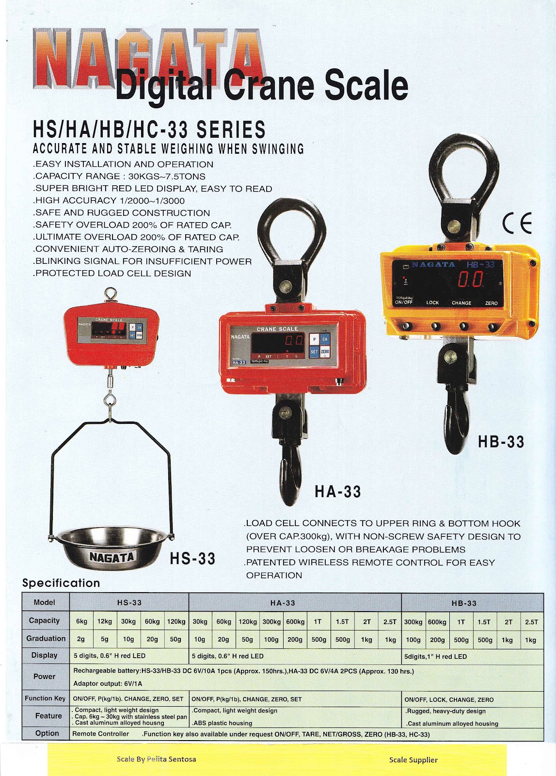 Scale Supplier Digital Crane Scale