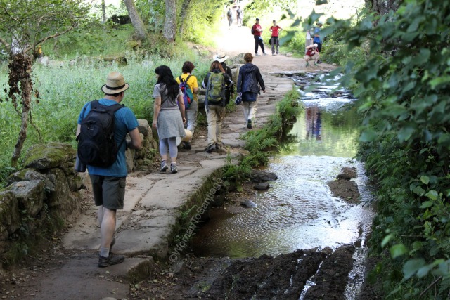camino-frances-senda-agua-taller-del-camino-de-santiago-womantosantiago