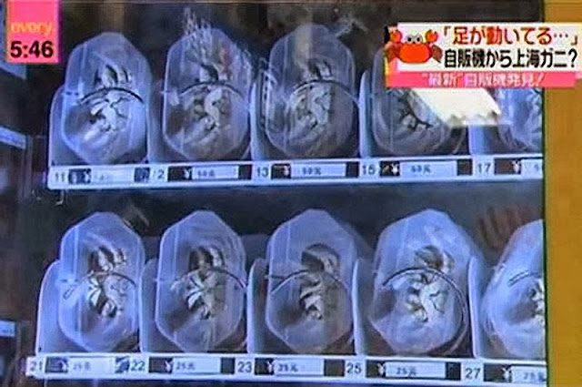 Cosas extrañas que puedes comprar en China