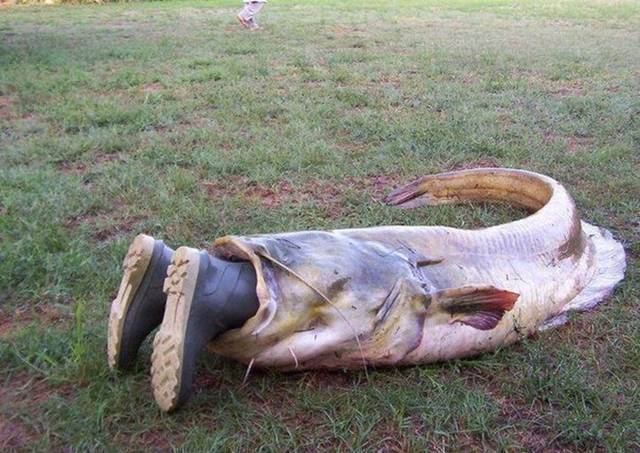 Picdump-Ritemail-039.jpg
