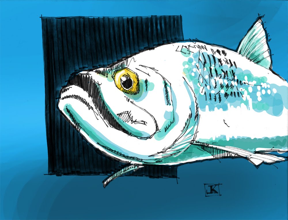 Произведение изумрудная рыбка. Рыба глаза иллюстрация. Глаз рыбы рисунок. Изумрудная рыбка. Мультяшная рыба концепт.