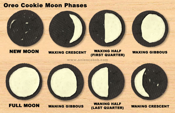 Welcome to the Reed Ranch!: Oreo Cookie Moon Phases