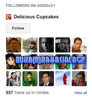 Blogger Google+ Followers. 
